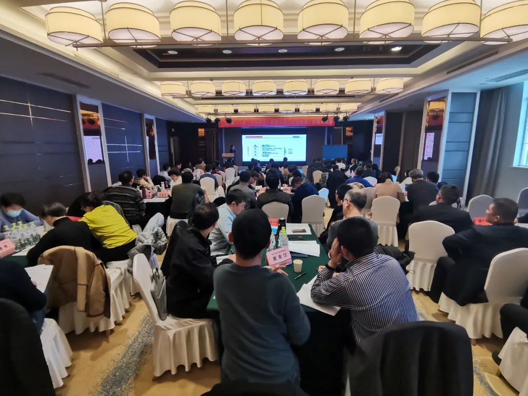 5.webp.jpg 5.webp.jpg