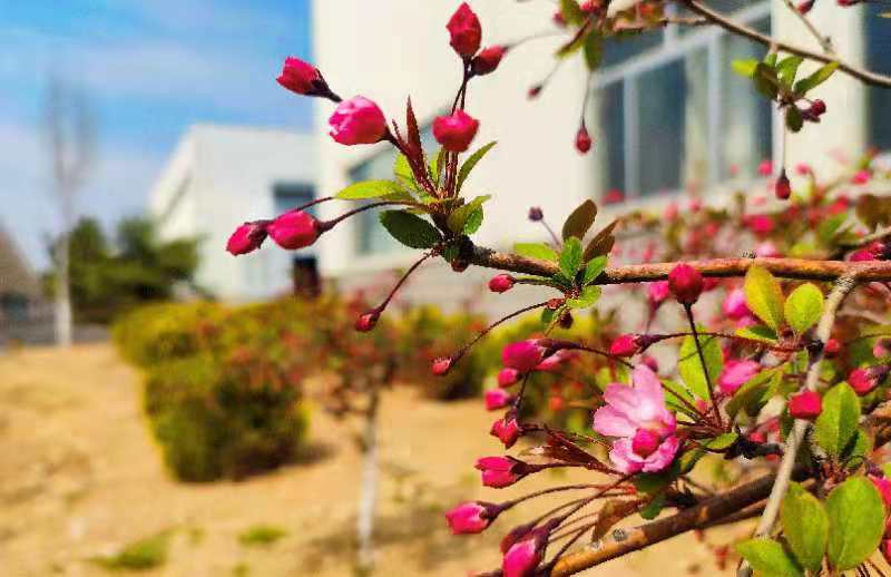  E316 Ļ֦һСطĪҽִ.jpg