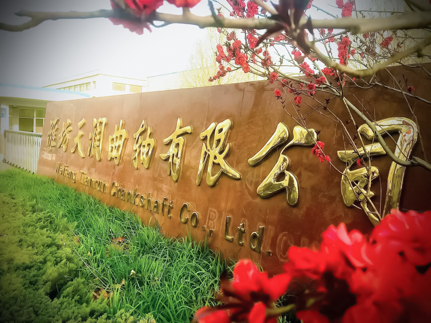 Ϋǲ(й)ٷվ޹˾  ˵ Ϋǲ(й)ٷվ һĨȻɫ һ׳ĺɫ һϰഺɫ ǲ(й)ٷվսʤʱ ϳĻϣڼ Ը߰ƴţΫǲ(й)ٷվĴ.jpg